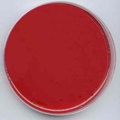 MacConkey Agar Image