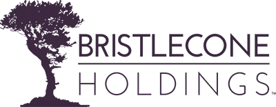Bristlecone Holdings Logo