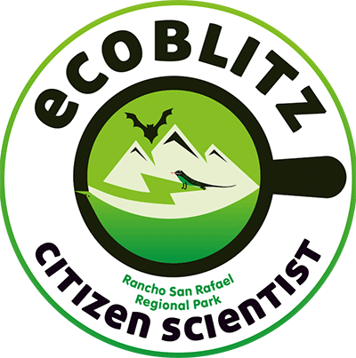 Ecoblitz logo