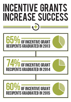 Incentive Grant Infographic