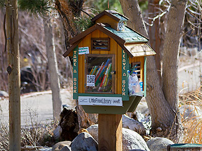 Little Free Library Image