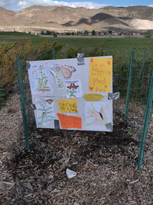 Vegetation surrounded by wire fencing and childrens' posters