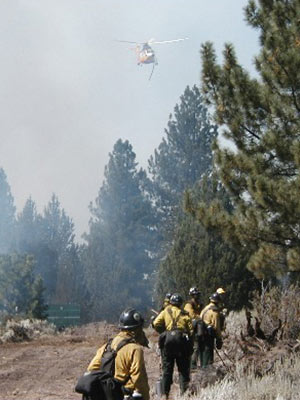 Wildland firefighters training through firsthand experience in the field.