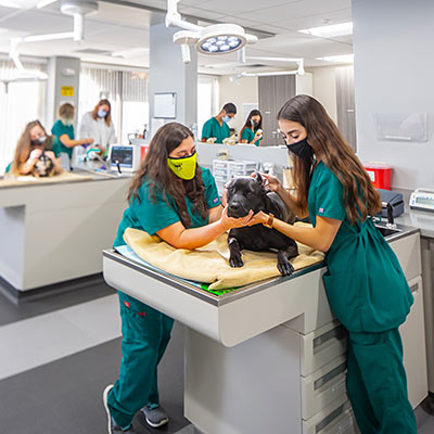 Students Starting Surgery