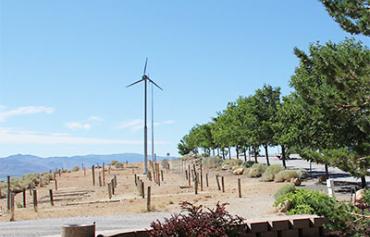 Wind turbines at the Dandini Campus.