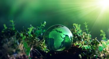 A small globe rests on a patch of soil as the sun shines down on it.