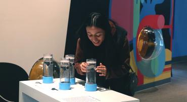A student interacting with an exhibition at the Discovery Museum. 