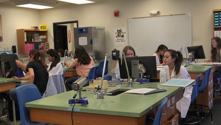 Students in the Summer BioResearch Program analyze and test their soil samples in a wet lab setting. 