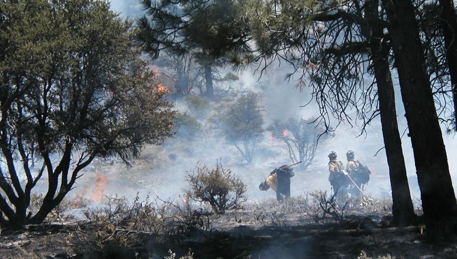 Firefighters attack on the fire ridge