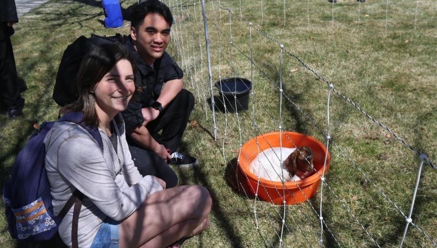 Students happy to see an adorable baby goat.