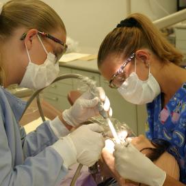 Students working on teeth