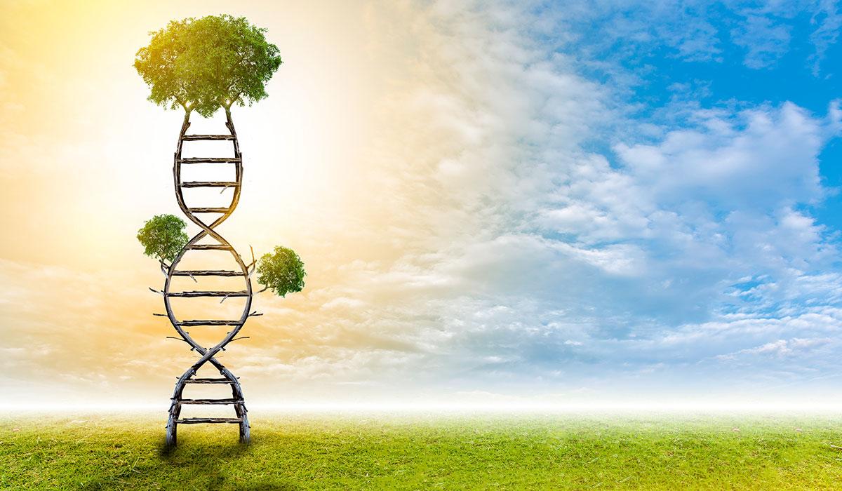 Illustration of sky, tree, and DNA molecule.