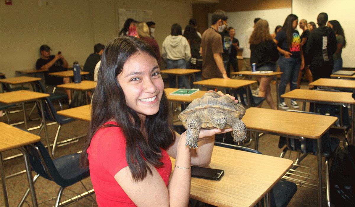 Summer Bridge student holding a tortoise.