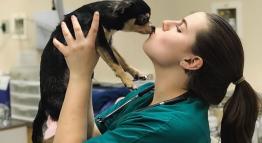 Veterinary nurse kisses a small puppy.