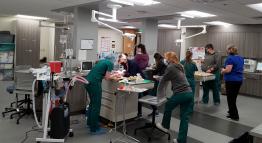 students in lab space in veterinary nursing program