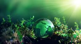 A small globe rests on a patch of soil as the sun shines down on it.